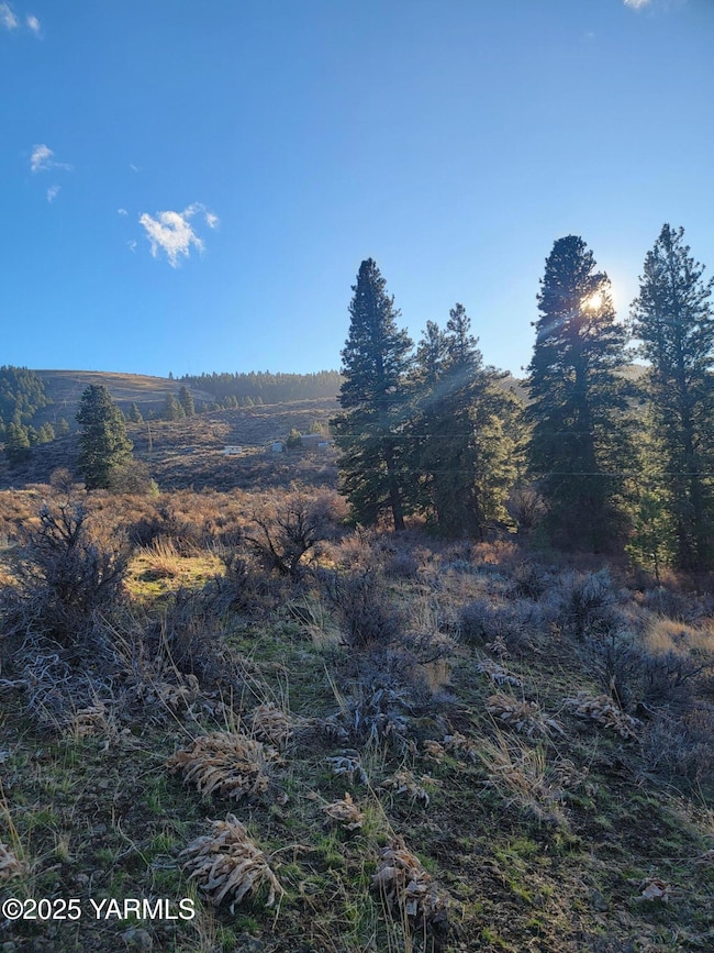 NKA Cowiche Mill Rd, Yakima, WA 98908 - photo 2