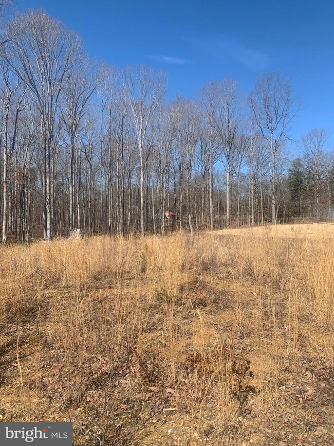 Lot C1 Cox Mill Rd, Orange, VA 22960 - photo 7