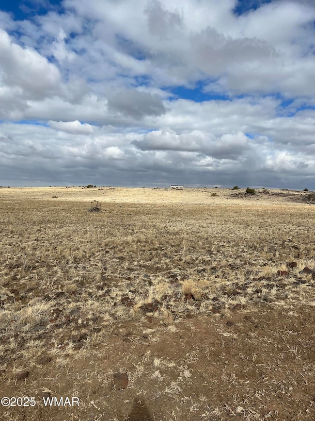 500 N3540, Concho, AZ 85924 - photo 4