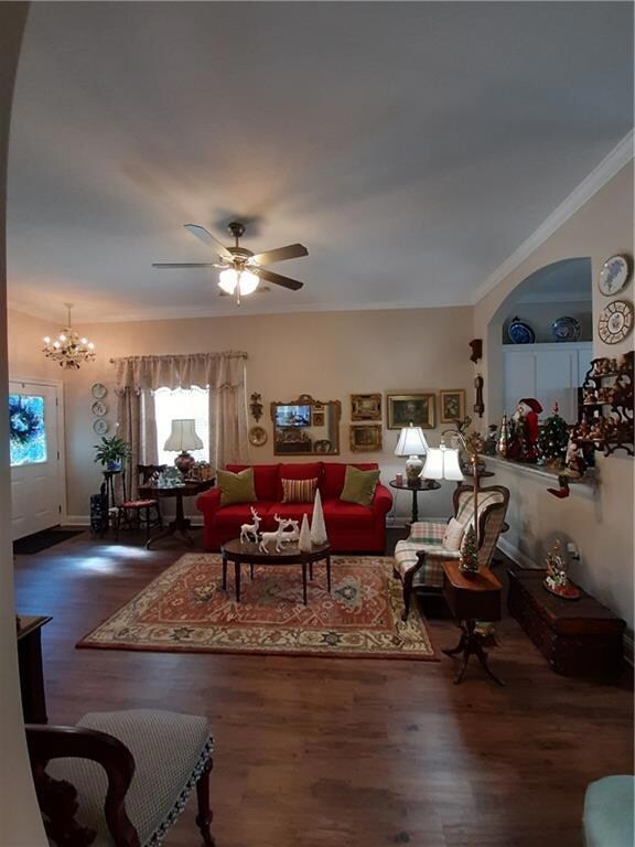 Large Den Area.