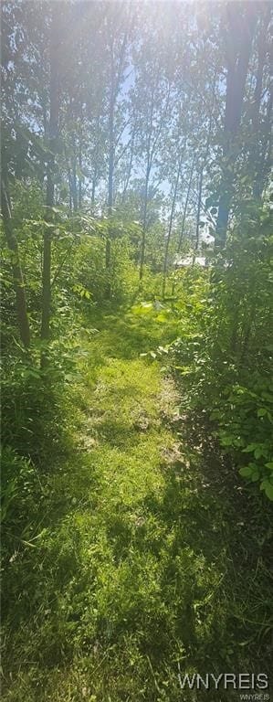 3719 Mapleton Rd, Sanborn, NY 14132 - photo 2