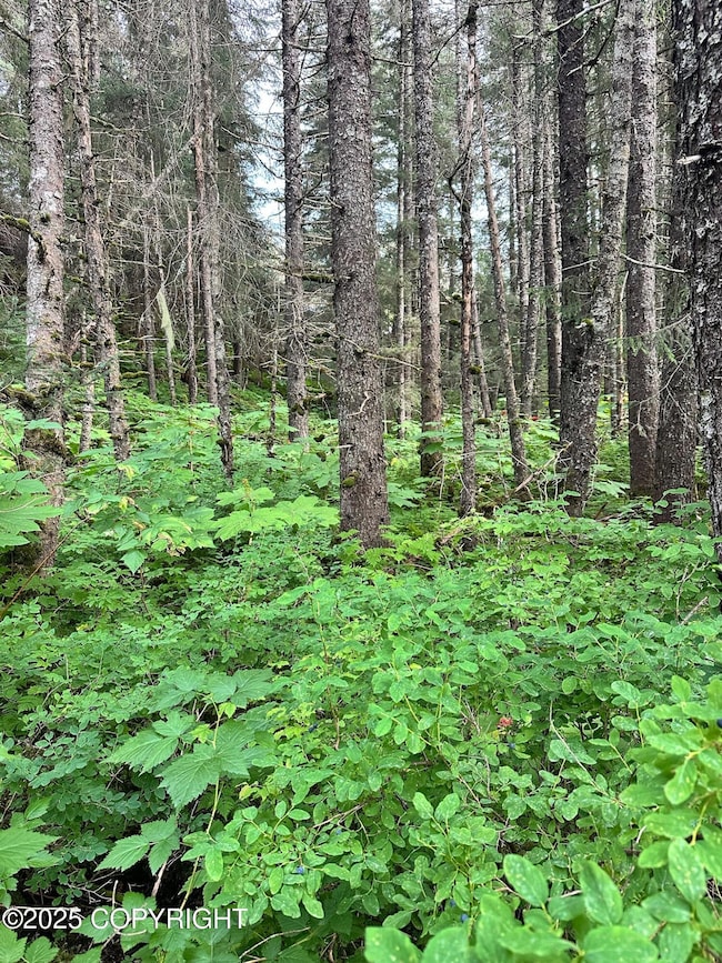 L17 B11 Malcolm St, Seldovia, AK 99663 - photo 6