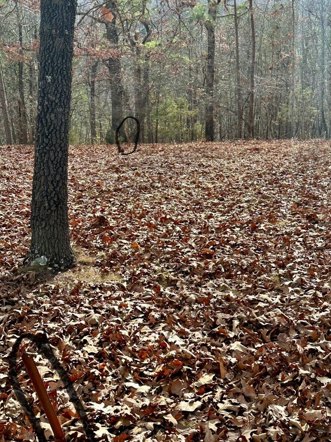 Marked Southeast Stakes