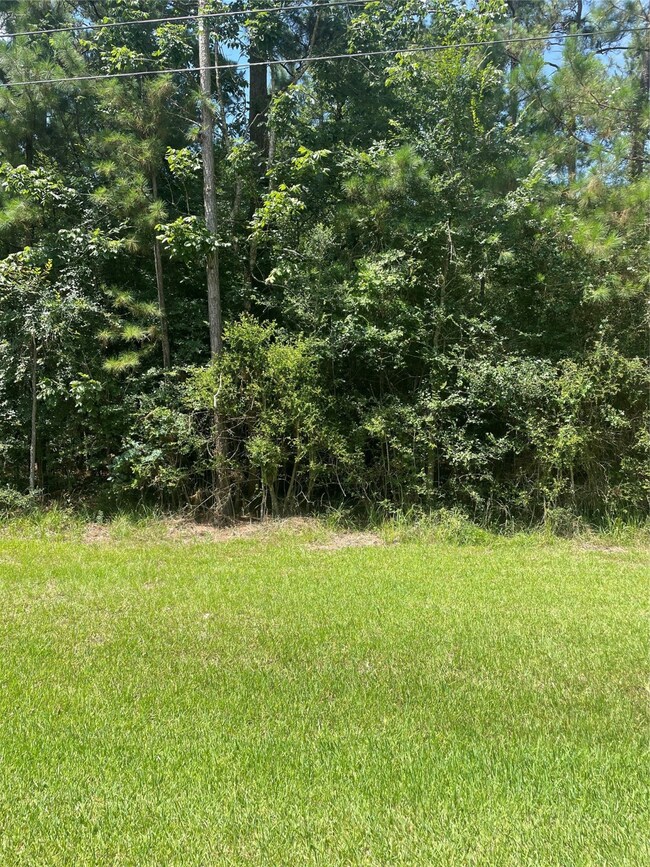 Lot 19 Clear Creek Forest 11, Magnolia, TX 77355 - photo 2