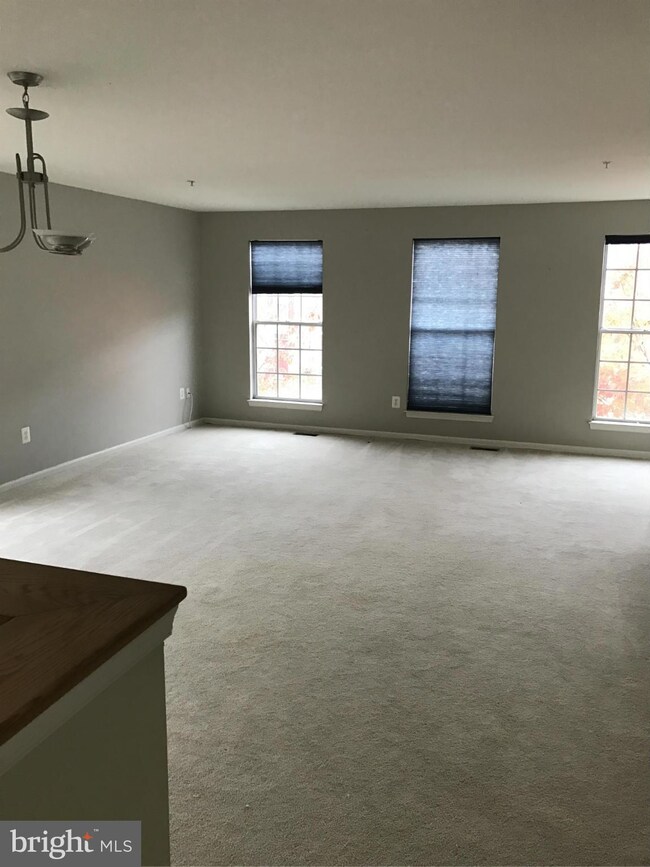 6128 Silver Arrows Way, Columbia, MD 21045 - photo 4