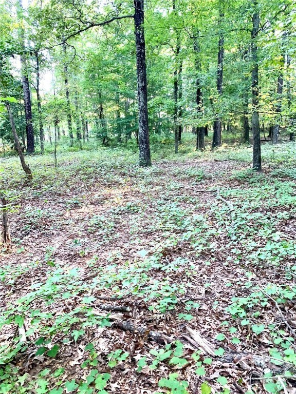 0 Archer Grove School Rd unit Tract B, Athens, GA 30607 - photo 4