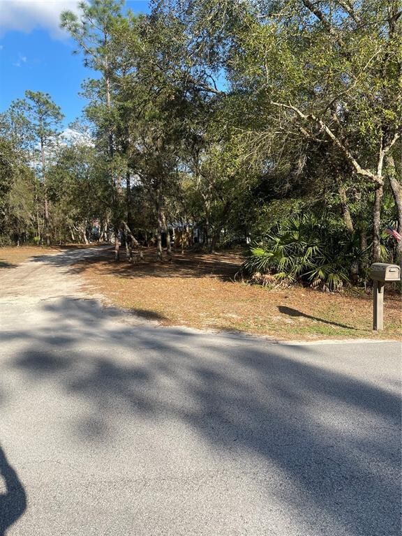 5015 SW 176th Ave, Dunnellon, FL 34432 - photo 4