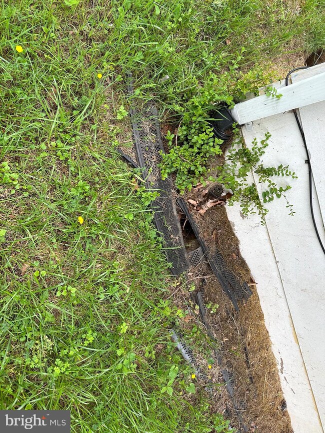 34 Knapp Rd, Stafford, VA 22554 - photo 7