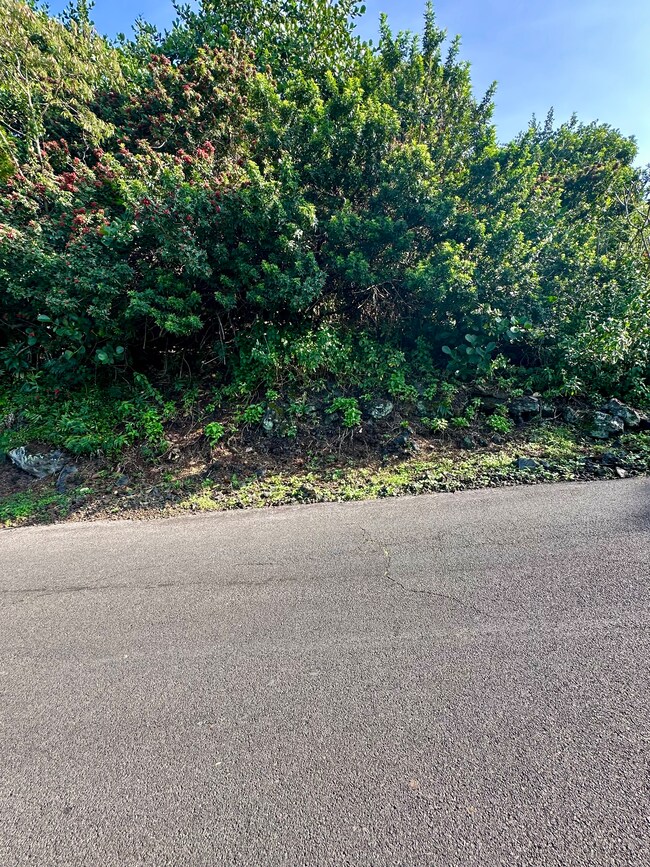 0 Kaohe Rd unit Lot 12, Captain Cook, HI 96704 - photo 7