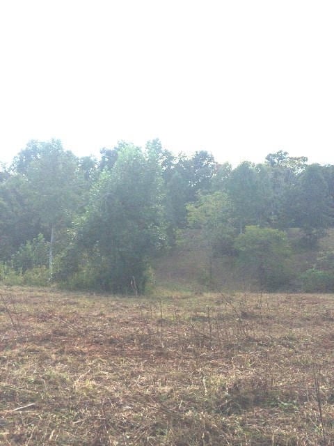 911 Moore Ln, Cookeville, TN 38506 - photo 4