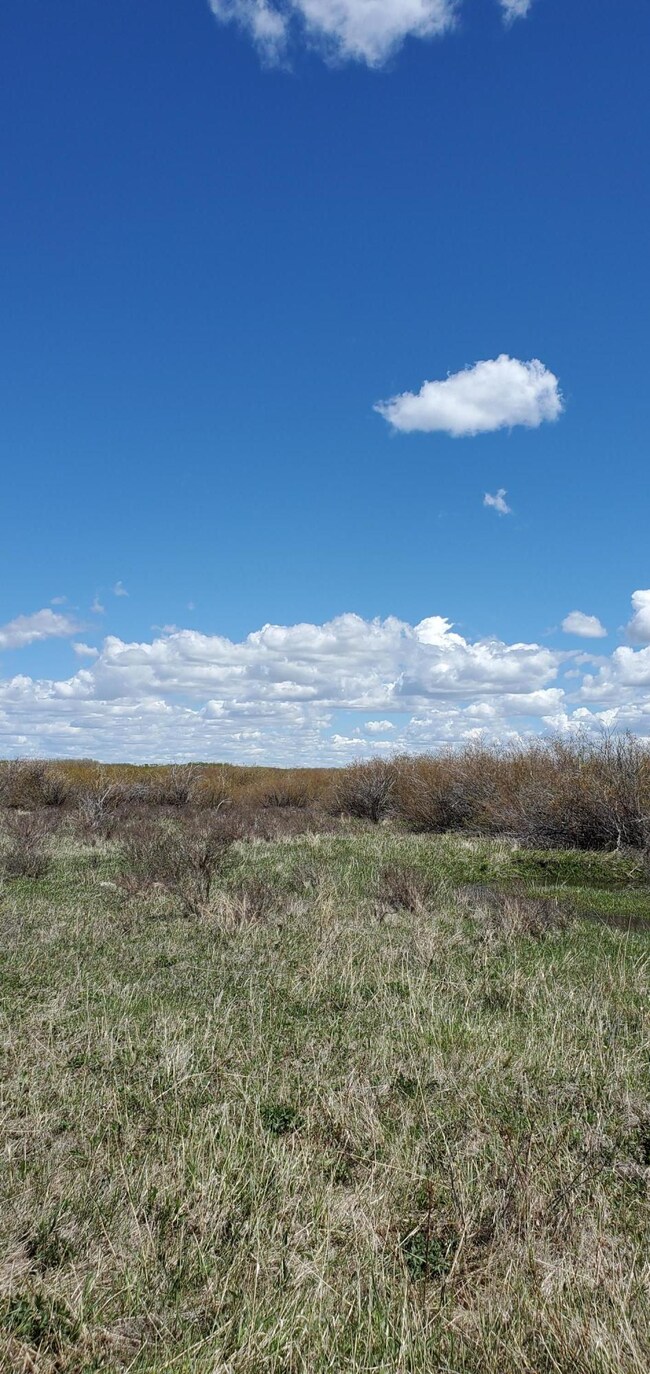 Nhn Anderson Rd, Browning, MT 59417 - photo 4