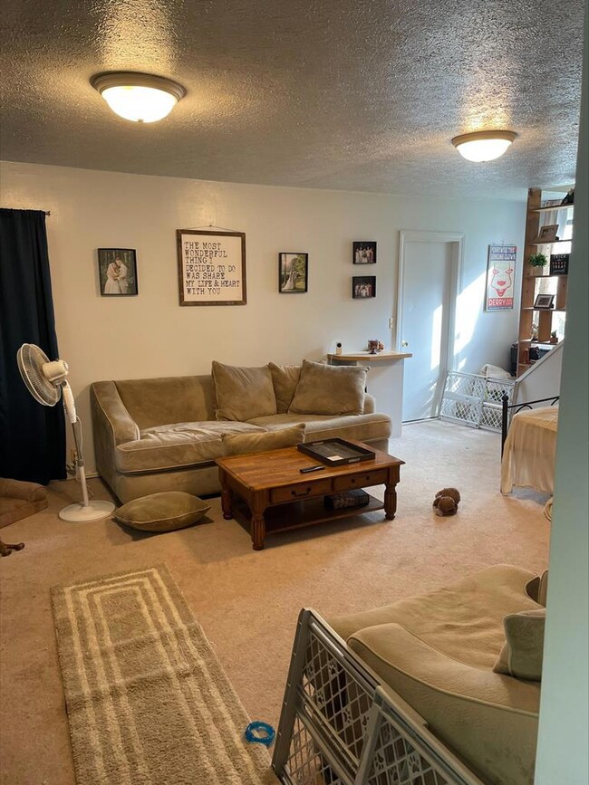 2664 Stout Rd, Lucas, OH 44843 - photo 5