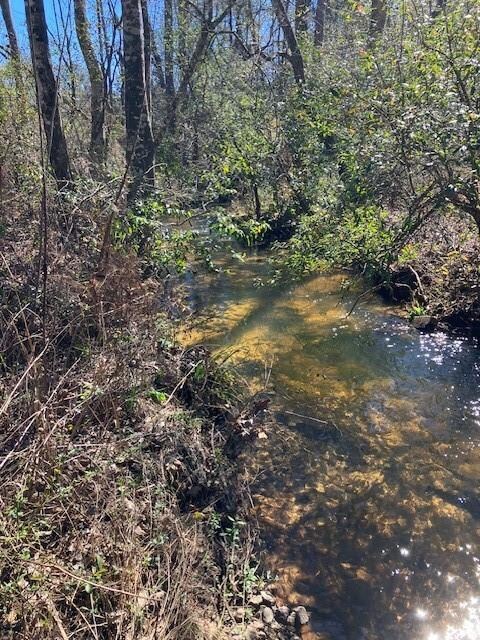 View of nature with a water view