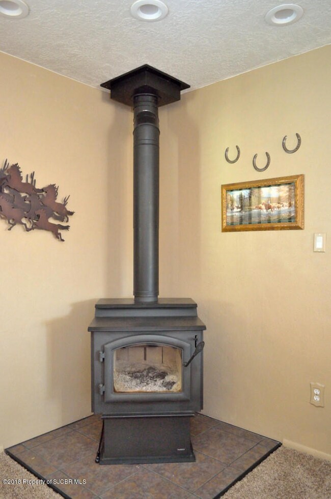 Wood Burning Stove