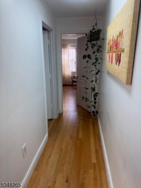 59 Saint Francis St, Newark, NJ 07105 - photo 6