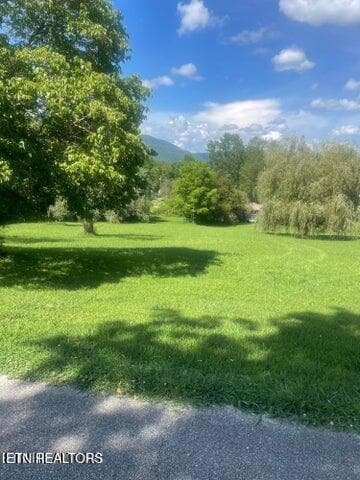 0 Lot 5 & 6 Powell Valley Shores Cir unit 1323127, Speedwell, TN 37870 - photo 2