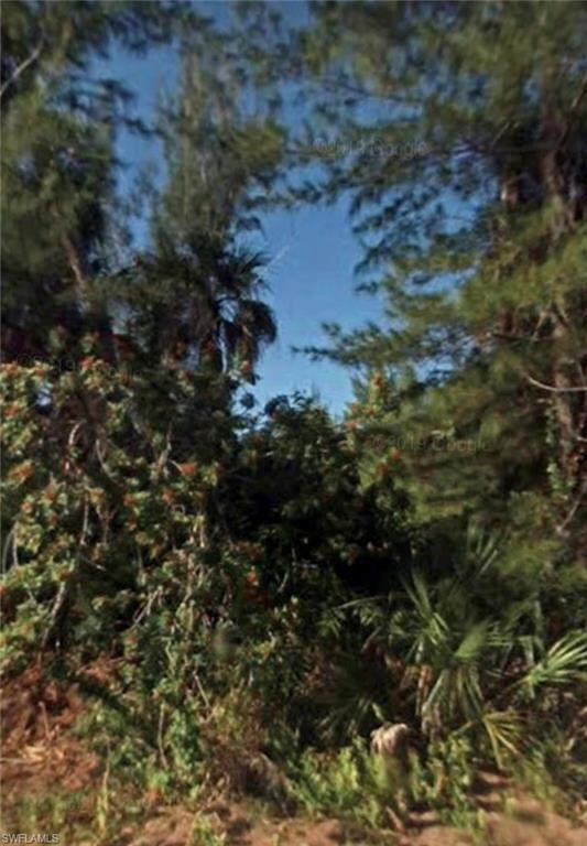 12277 Sherwood Rd, Pine Island Center, FL 33922 - photo 7