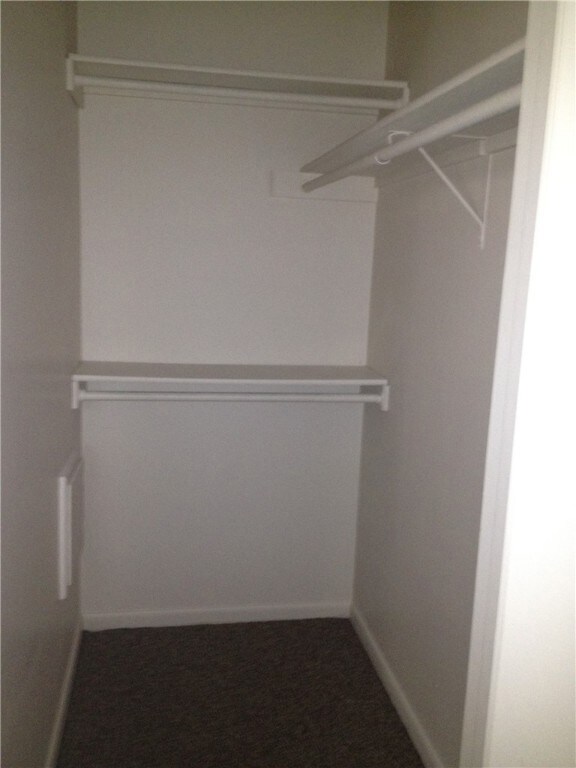 Walk in closet featuring carpet flooring