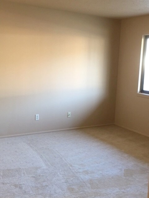 407 Scenic Dr, Alamogordo, NM 88310 - photo 7