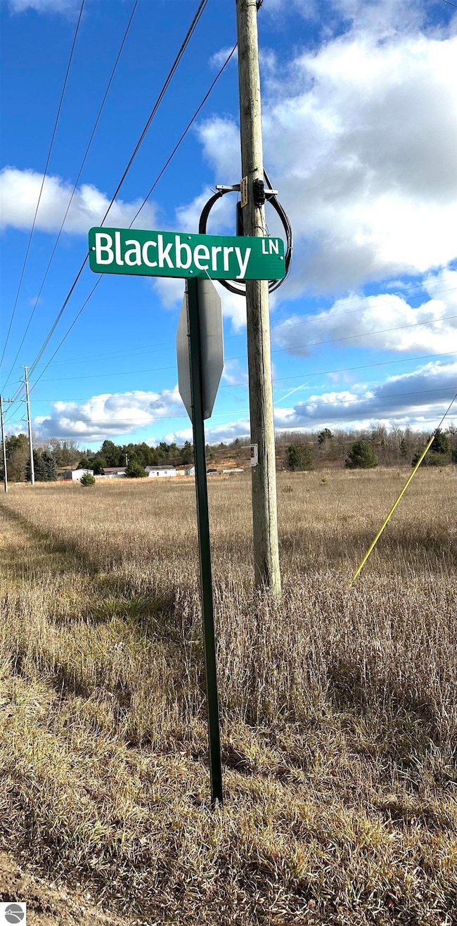 TBD Blackberry Ln, Star Township, MI 49730 - photo 3