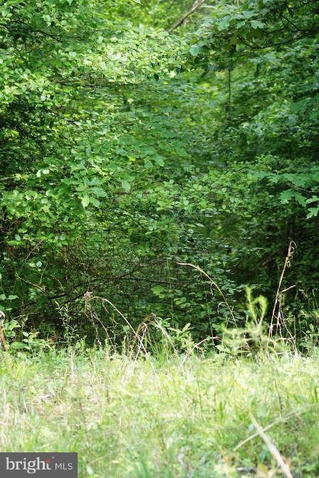 6539 Lawyers Rd, Spotsylvania, VA 22551 - photo 3