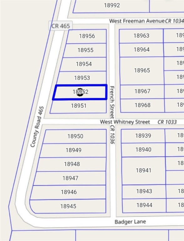 0 French St, Ben Bolt, TX 78332 - photo 3