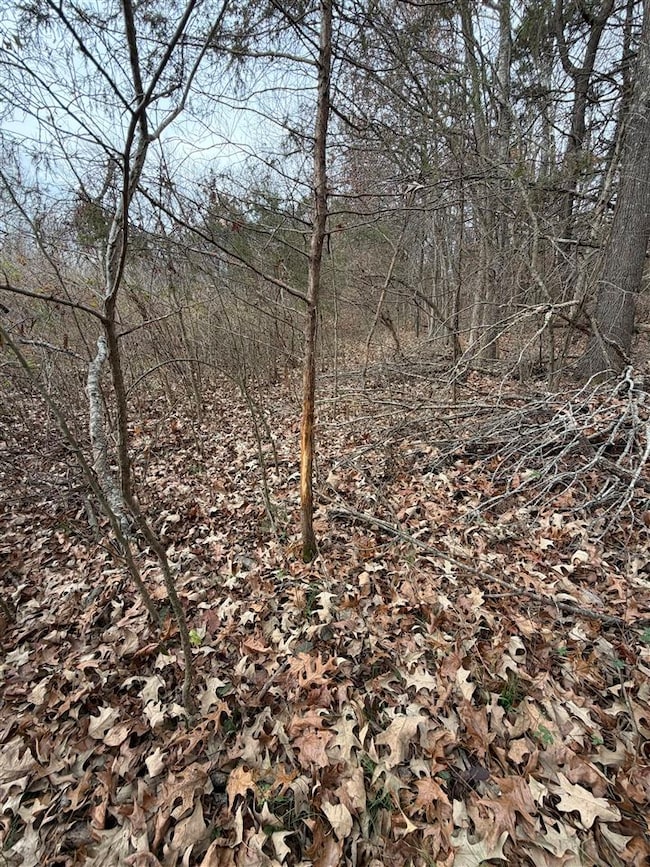 2351 N Logan School Rd, Lewisburg, KY 42256 - photo 7