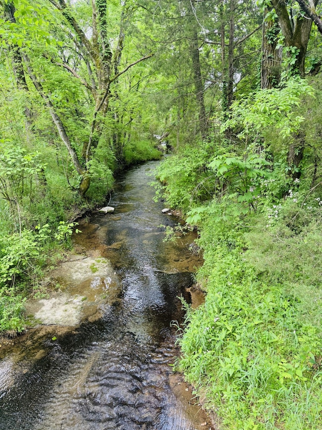 0 Crews Hollow Rd unit RTC2808625, Manchester, TN 37355 - photo 2