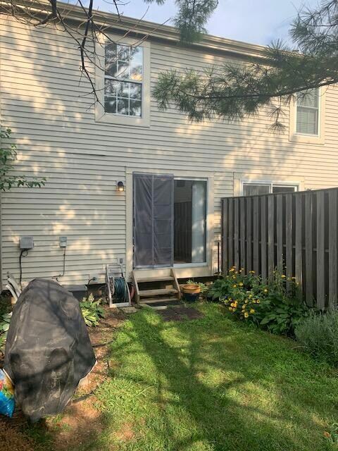 Back Yard 2