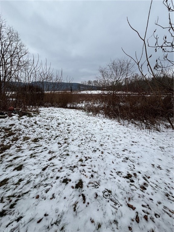 286 Church St, Barton, NY 13734 - photo 6