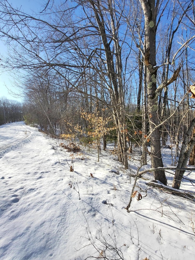 11 Symmes Dr, Newfield, ME 04095 - photo 5