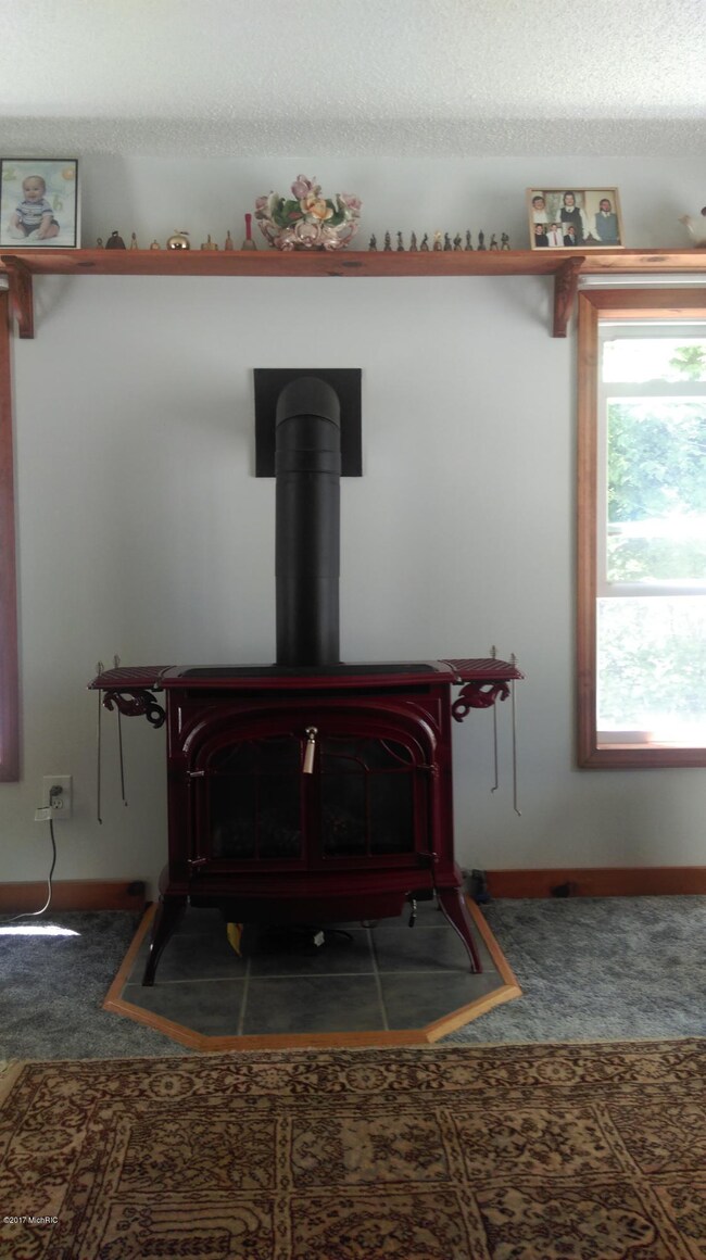 10654 Lintula Rd, Kaleva, MI 49645 - photo 6