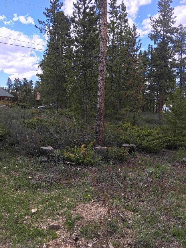 28 Gcr 6120, Granby, CO 80446 - photo 2