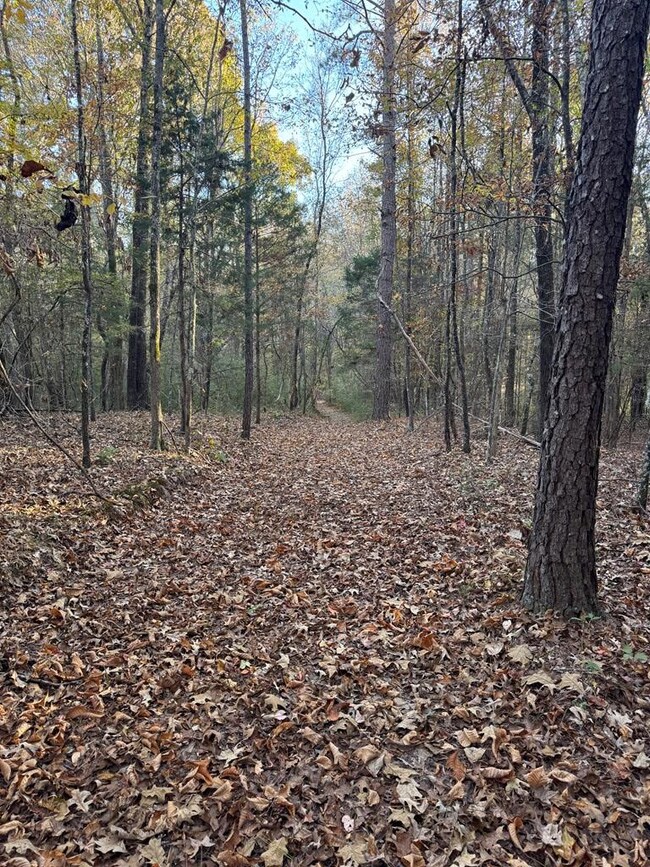 00 Cr 311, Oxford, MS 38655 - photo 7