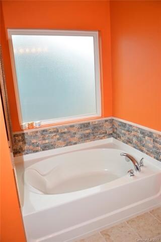 Master Tub