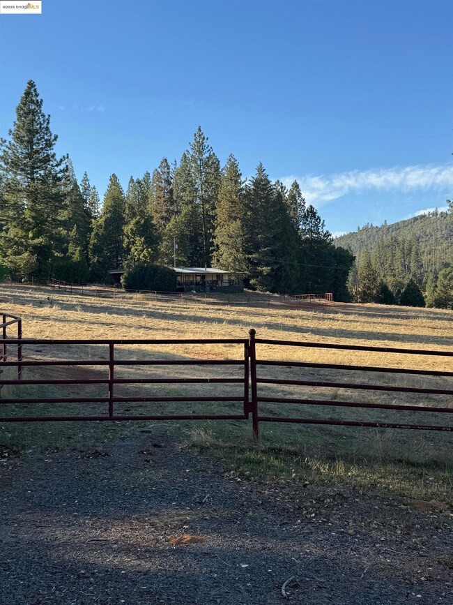 10576 Converse Rd, Coulterville, CA 95311 - photo 5