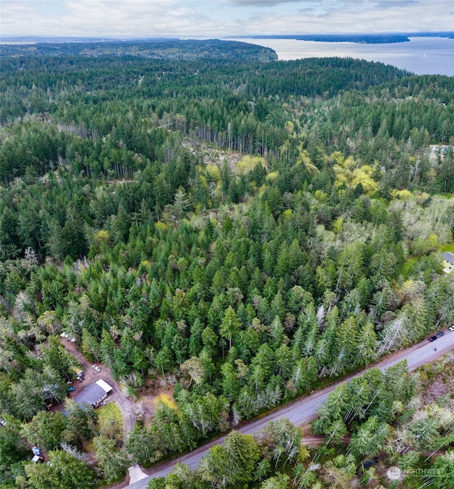 0 Tiedman Rd SW, Lakebay, WA 98349 - photo 2