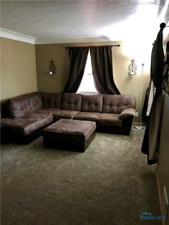 Living Room/new carpet