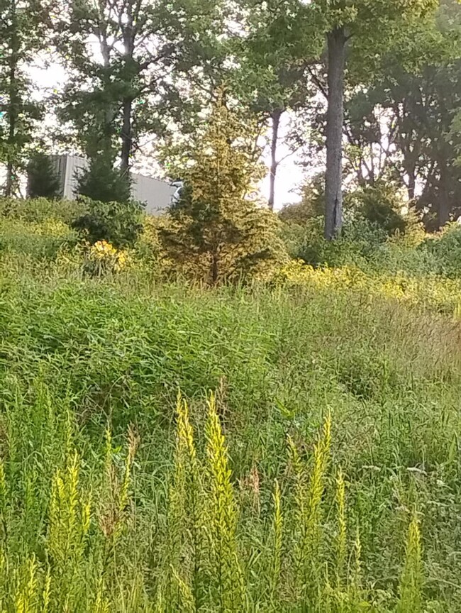 5631 Gest Rd, Defoe, KY 40057 - photo 6