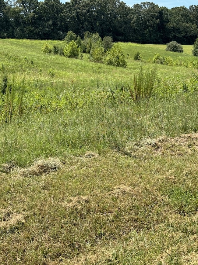 0 Honey Ln unit RTC2945390, Estill Springs, TN 37330 - photo 2