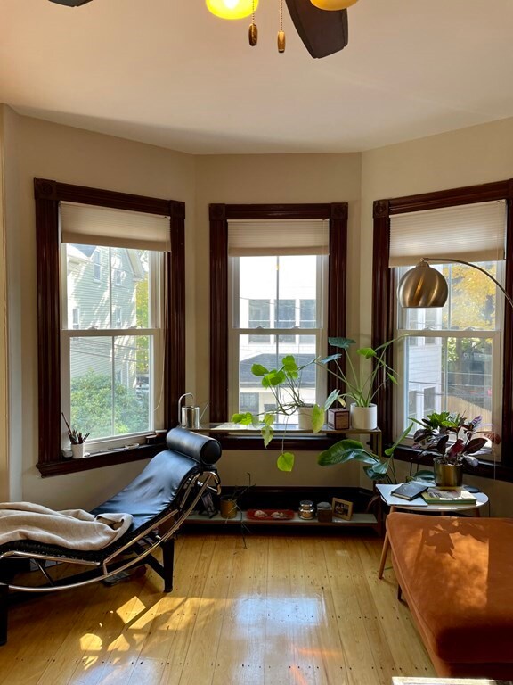 5 Hagar St unit 2, Jamaica Plain, MA 02130 - photo 7