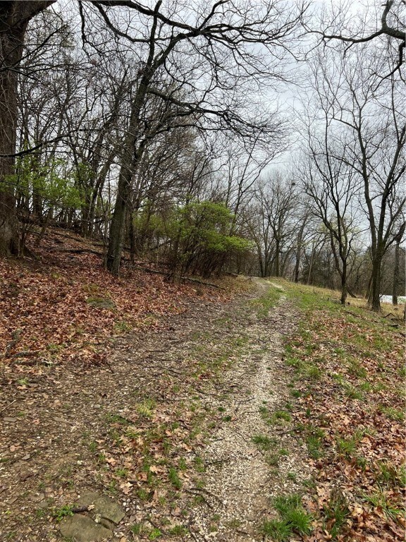 0 S Mashburn Ave, Fayetteville, AR 72701 - photo 5