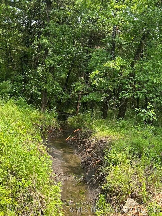 Wet Weather Creek
