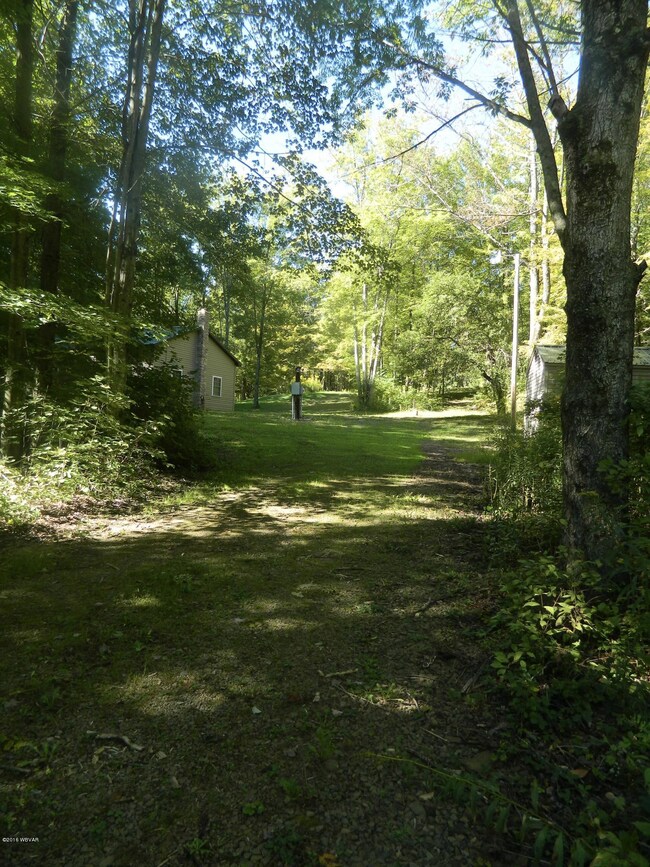 Looking toward Cabin