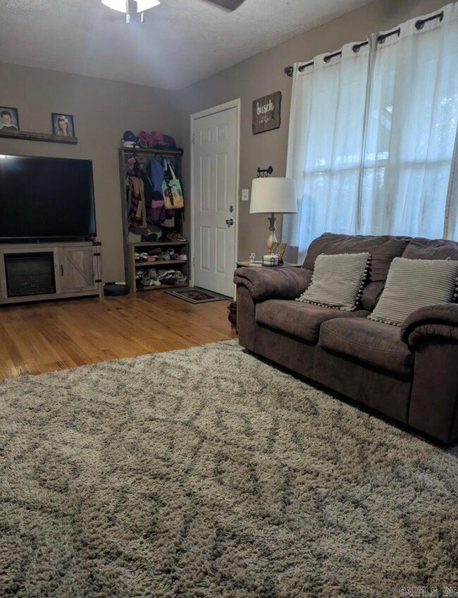 85 Peggy Ave, Mammoth Spring, AR 72554 - photo 5