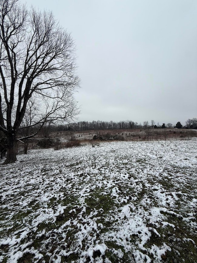 1013-B Salem Pike, Cynthiana, KY 41031 - photo 5