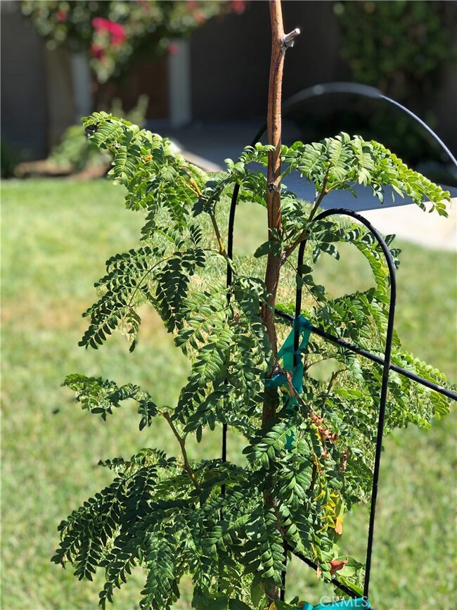 850 Applewood Way, Willows, CA 95988 - photo 4