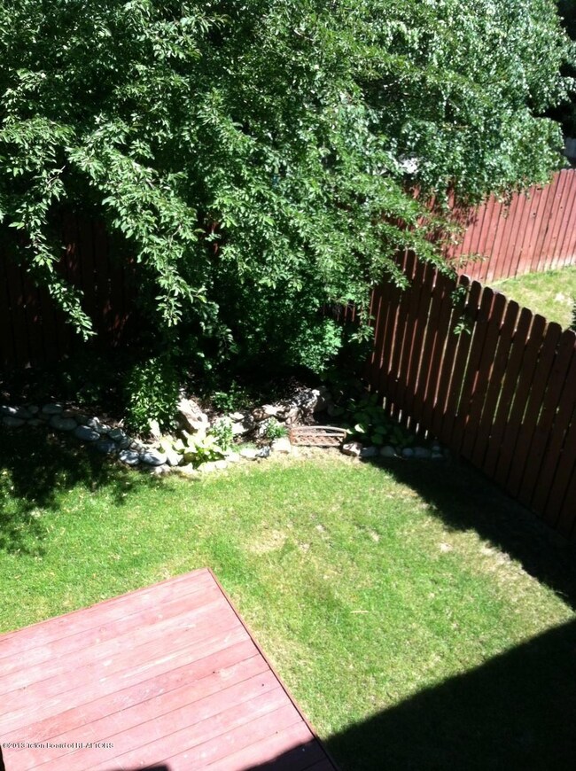 lower yard from upper deck
