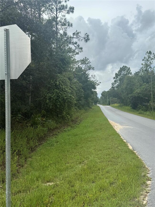 0 Southeast Ave unit MFRO6338893, Webster, FL 33597 - photo 6