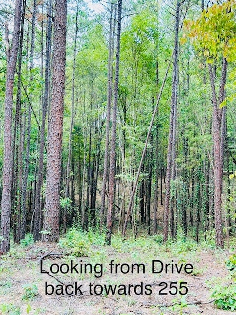 TBD Cr 255 (Lafayette County), Thaxton, MS 38871 - photo 7